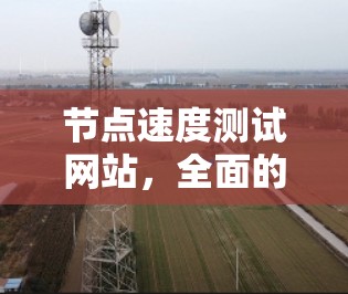 节点速度测试网站，全面的监控解决方案