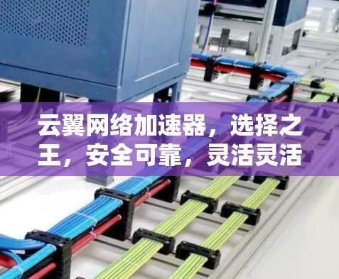 云翼网络加速器，选择之王，安全可靠，灵活灵活！
