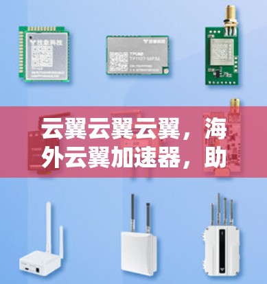 云翼云翼云翼，海外云翼加速器，助力网络访问