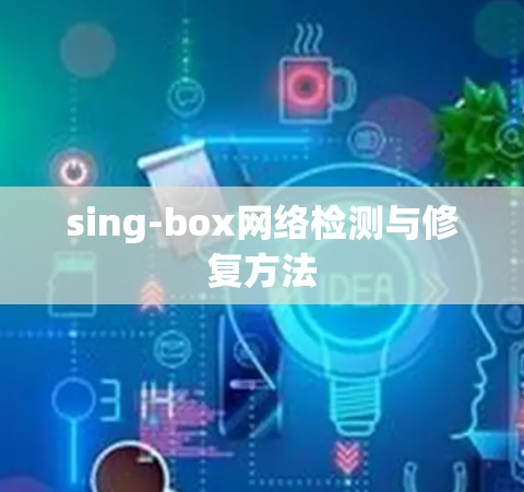 sing-box网络检测与修复方法