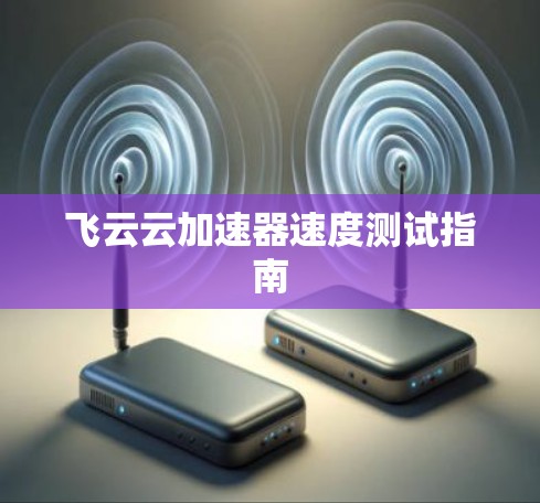 飞云云加速器速度测试指南