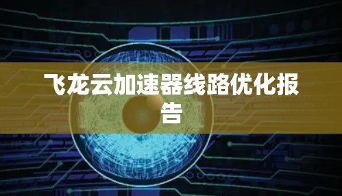 飞龙云加速器线路优化报告