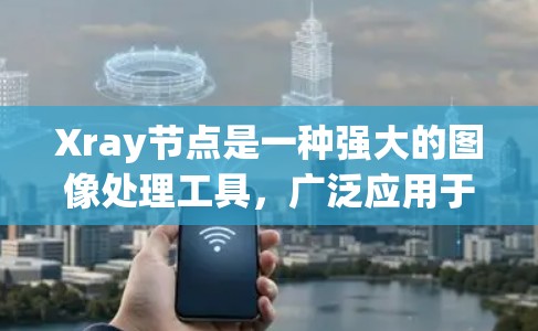Xray节点是一种强大的图像处理工具，广泛应用于计算机视觉和图像处理领域。以下是对Xray节点的详细描述