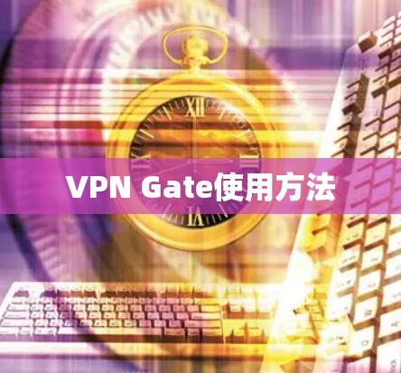 VPN Gate使用方法