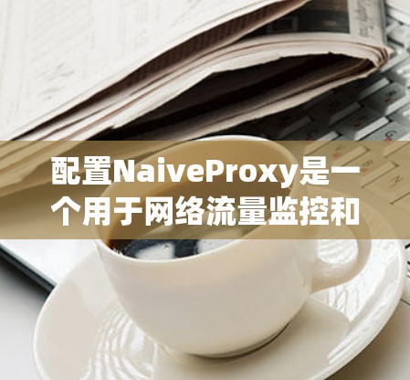 配置NaiveProxy是一个用于网络流量监控和分析的工具，通常位于安装目录的bin目录下。以下是一个详细的配置步骤指南