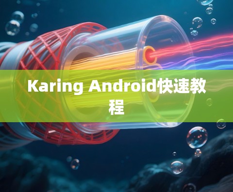 Karing Android快速教程