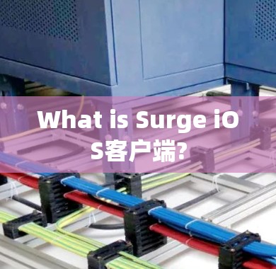 What is Surge iOS客户端?