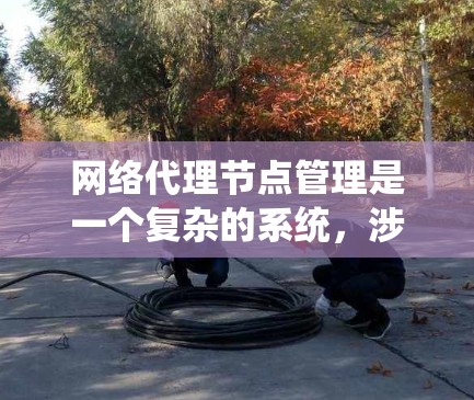 网络代理节点管理是一个复杂的系统，涉及多个步骤和技巧。以下是对网络代理节点管理的详细指南