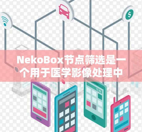 NekoBox节点筛选是一个用于医学影像处理中的功能，旨在从图像中筛选特定的节点或结构。以下是对该功能的详细总结和指南