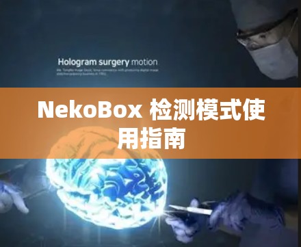 NekoBox 检测模式使用指南