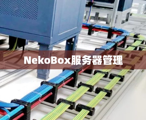 NekoBox服务器管理