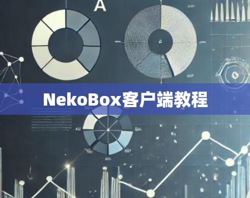 NekoBox客户端教程