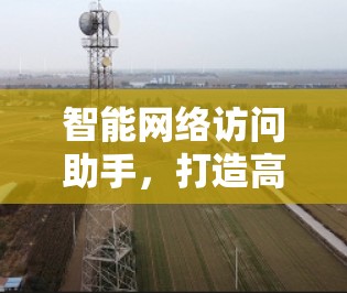 智能网络访问助手，打造高效网络安全防护