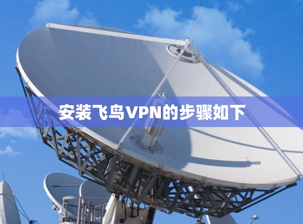安装飞鸟VPN的步骤如下