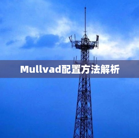 Mullvad配置方法解析