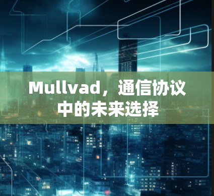 Mullvad，通信协议中的未来选择