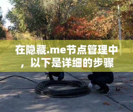 在隐藏.me节点管理中，以下是详细的步骤指南
