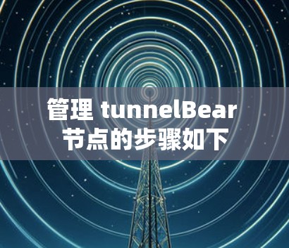 管理 tunnelBear 节点的步骤如下