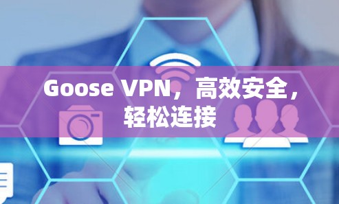 Goose VPN，高效安全，轻松连接