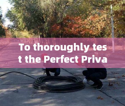 To thoroughly test the Perfect Privacy network,follow this structured approach: