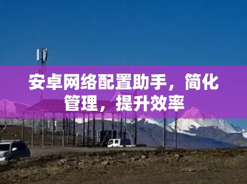 安卓网络配置助手，简化管理，提升效率