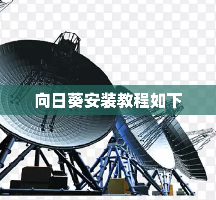 向日葵安装教程如下