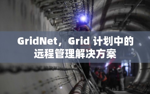 GridNet，Grid 计划中的远程管理解决方案