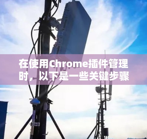 在使用Chrome插件管理时，以下是一些关键步骤和步骤说明