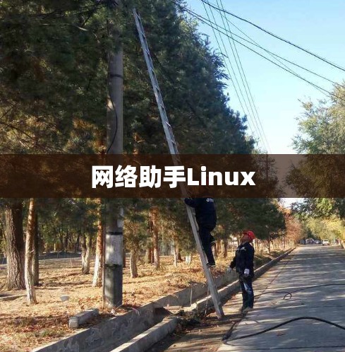 网络助手Linux