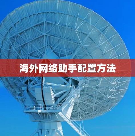 海外网络助手配置方法